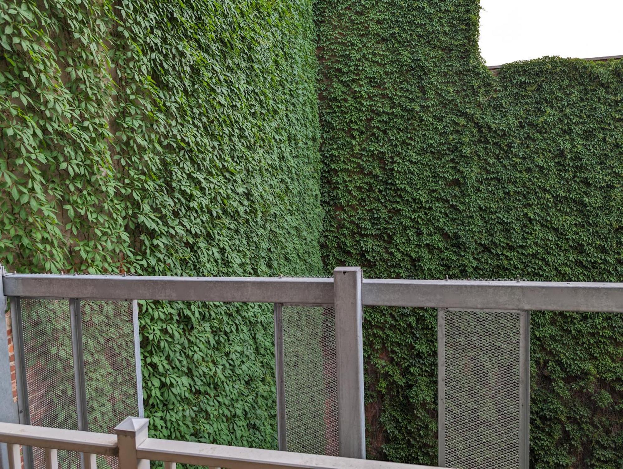 Apartamento Cozy In Montreal's Quartier Des Spectacles